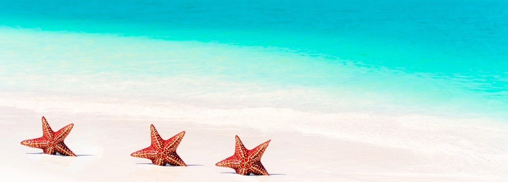 Bora bora playa