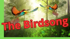 5 HORAS de SONIDOS RELAJANTES de PÁJAROS Cantando