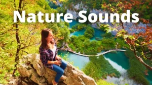 30 MINUTOS de SONIDOS de la NATURALEZA en los LAGOS de PLITVICE en CROACIA
