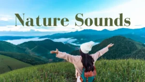ARROYO de MONTAÑA SONIDOS de la NATURALEZA RELAJACIÓN de 30 MINUTOS