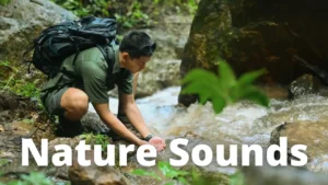 SONIDOS de la NATURALEZA ARROYO de MONTAÑA RELAJACIÓN con la NATURALEZA