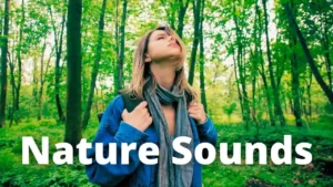 SONIDOS de la NATURALEZA RÍO en POLONIA - Nature Sounds
