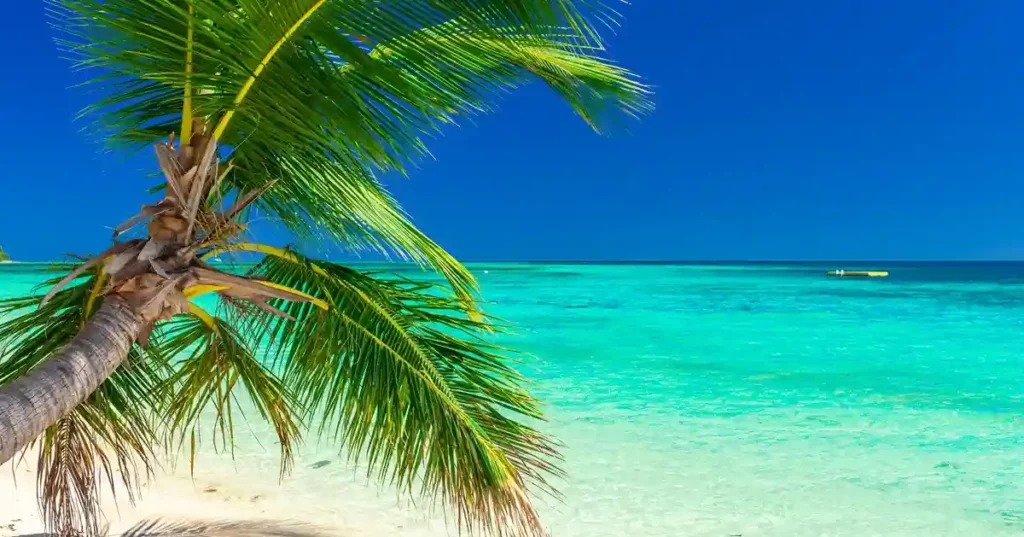Playa tropical con cocoteros y laguna clara en las Islas Fiji