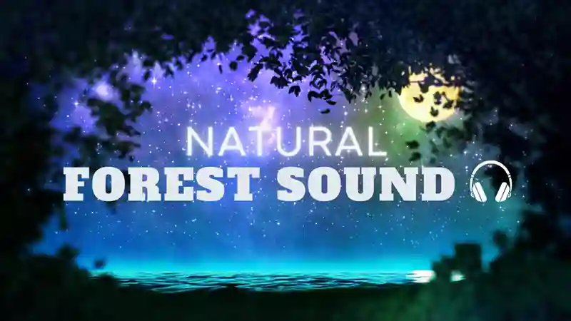 RELAJACIÓN para DORMIR con SONIDOS de la NATURALEZA